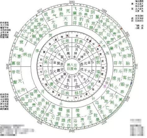 紫微命格種類|紫微斗数